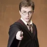 HarryPainter