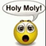 HolyMoly